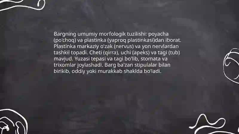 Bargning morfologik tuzilishi 3