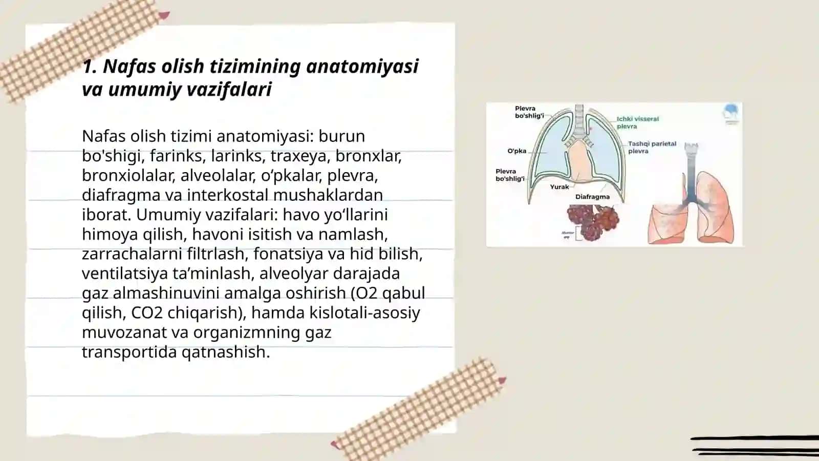 Nafas olish tizimining normal fiziologiyasi va patologik jarayonlari 3