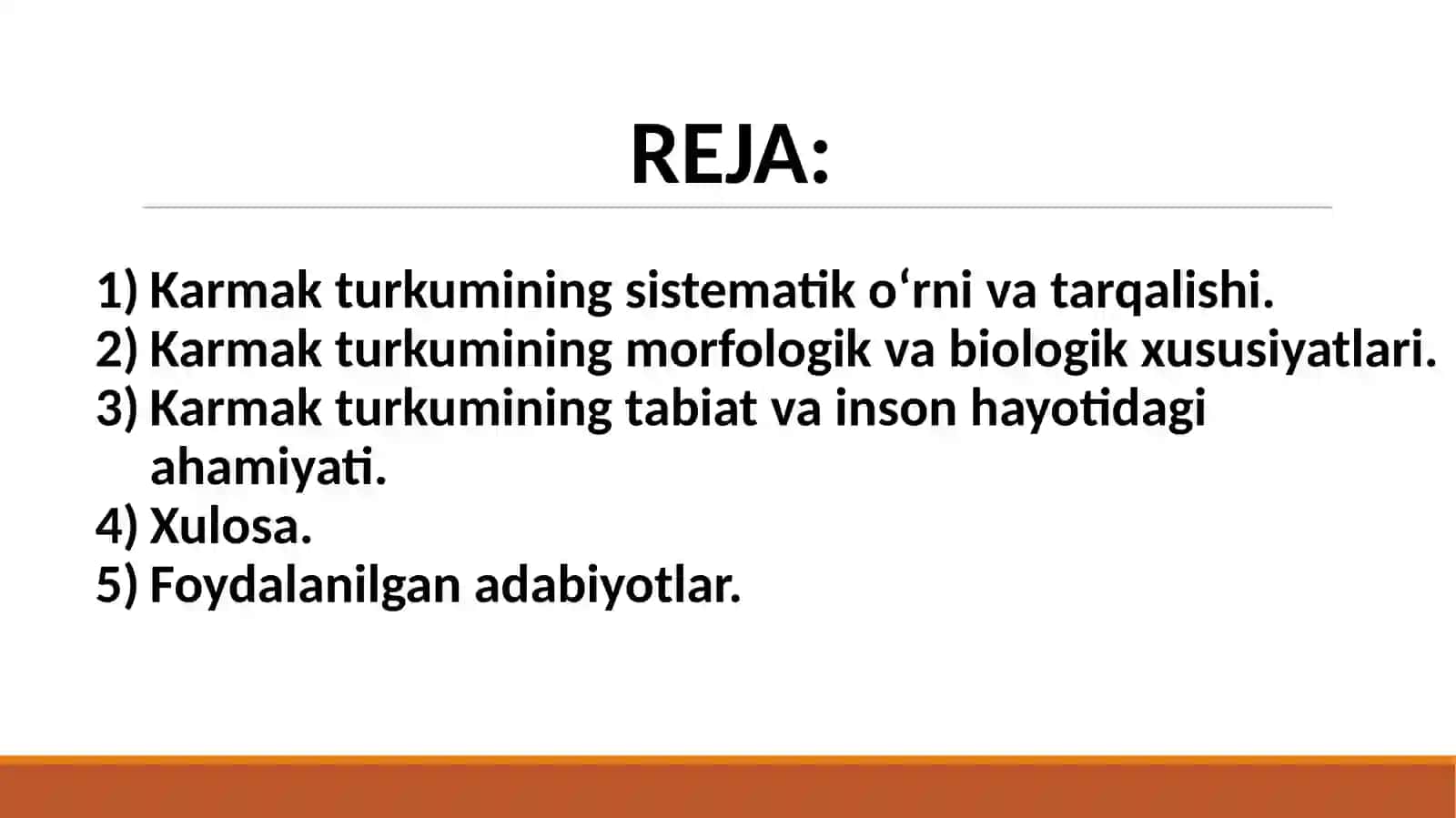 Karmak (Limonium Mill) turkumining umumiy tavsifi 3