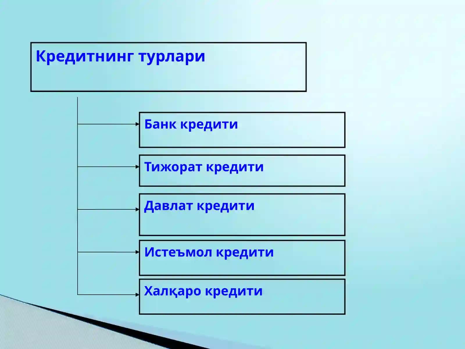 Алоҳида кредит турлари ва кредитлаш шакллари 3