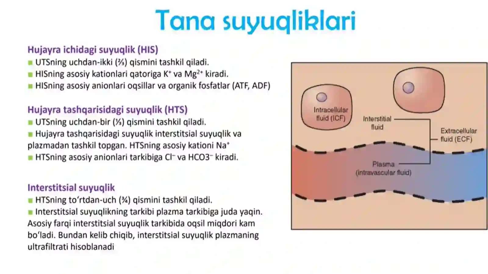 BUYRAKLAR VA AYIRUV TIZIMI FIZIOLOGIYASI 3