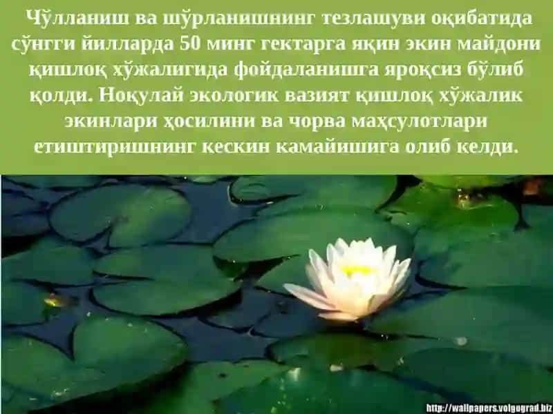 Ҳавонинг Махаллий ва Минтақавий Ифлосланиш 3