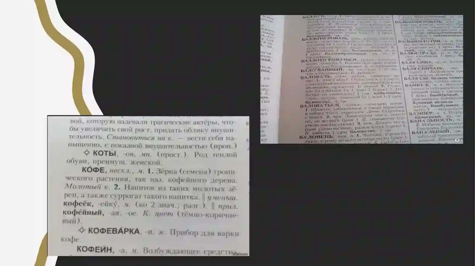 толковый словарь ожегова 3