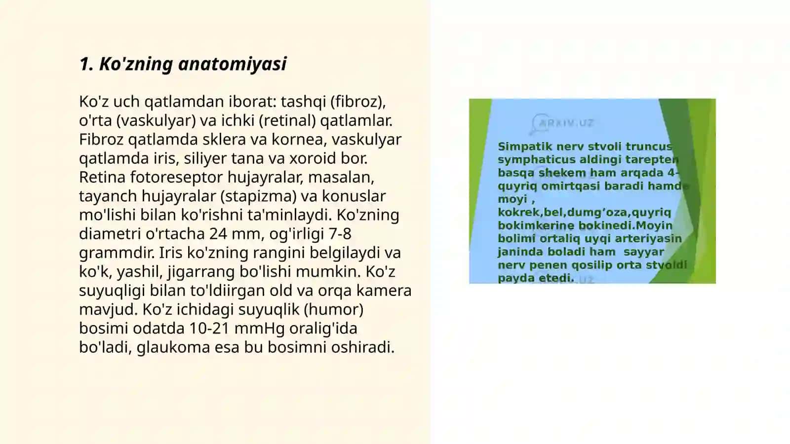 Inson sezgi organlar anatomyasi fiziologiyasi va patalogiyasi 3