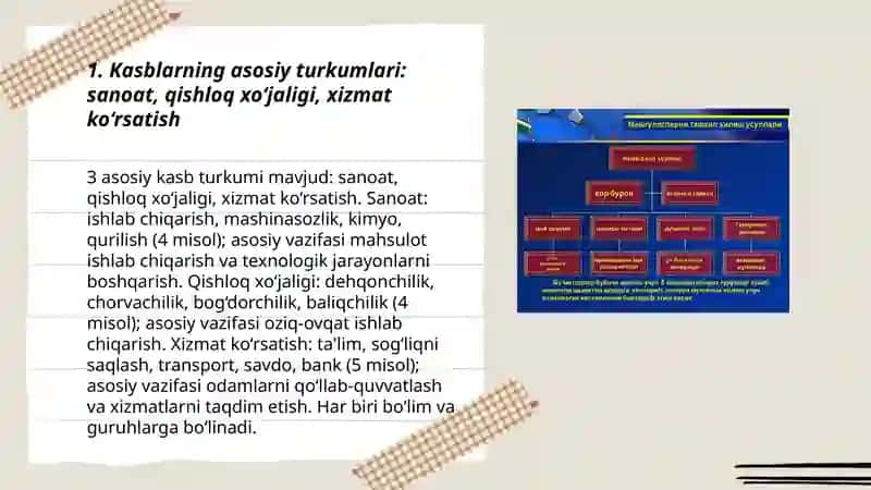 Kasblaaring turkumlari, bo'limlari, guruhlari 3