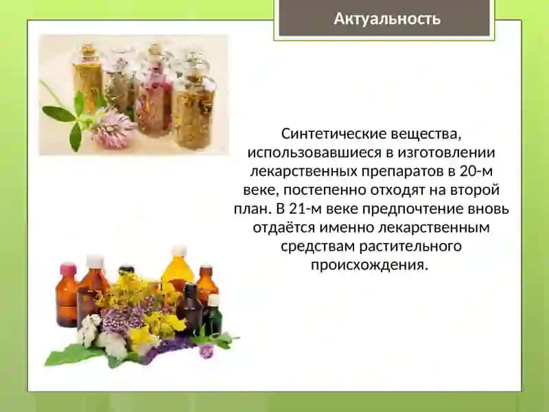 Лекарственные препараты растительного происхождения 3