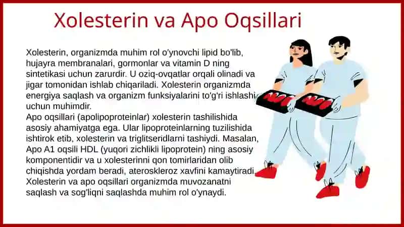 Xolesterin tashishda qatnashuvchi apo oqsillar, yogʻ bosish, semirish. Ateroskleroz rivojlanishining biokimyoviy asoslari. Oʻt - tosh kasalliklari. Sfingolipidozlar 3