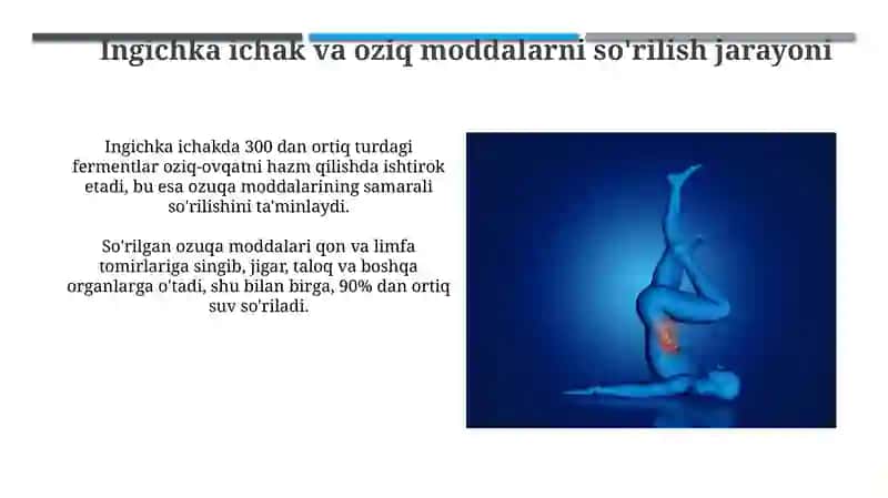 Ovqat hazm qilish sistemi 3