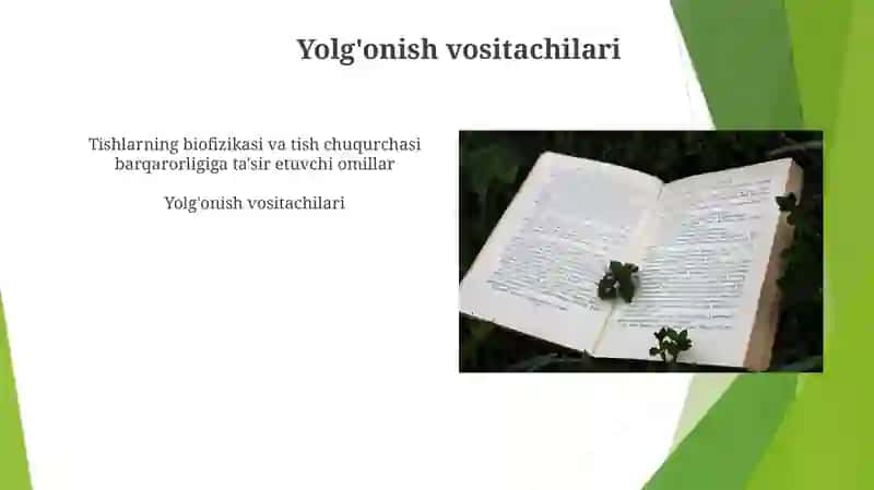 Tish Biofizikasi va Tish Chuqurchasi Barqarorligi 3