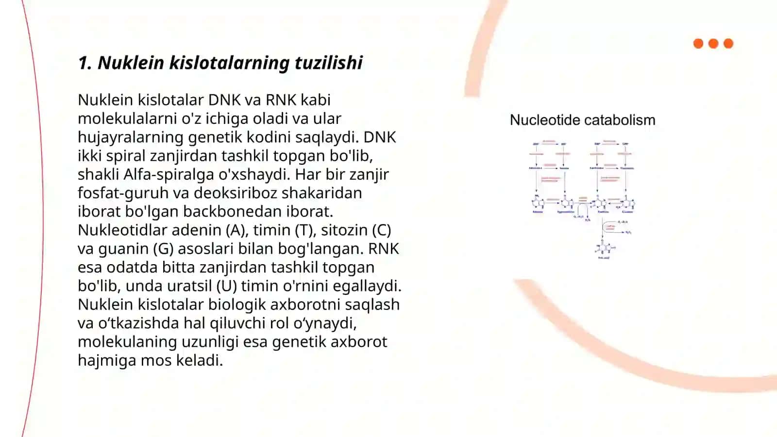 Nuklein kislotalarning fermentativ parchalanishi 3
