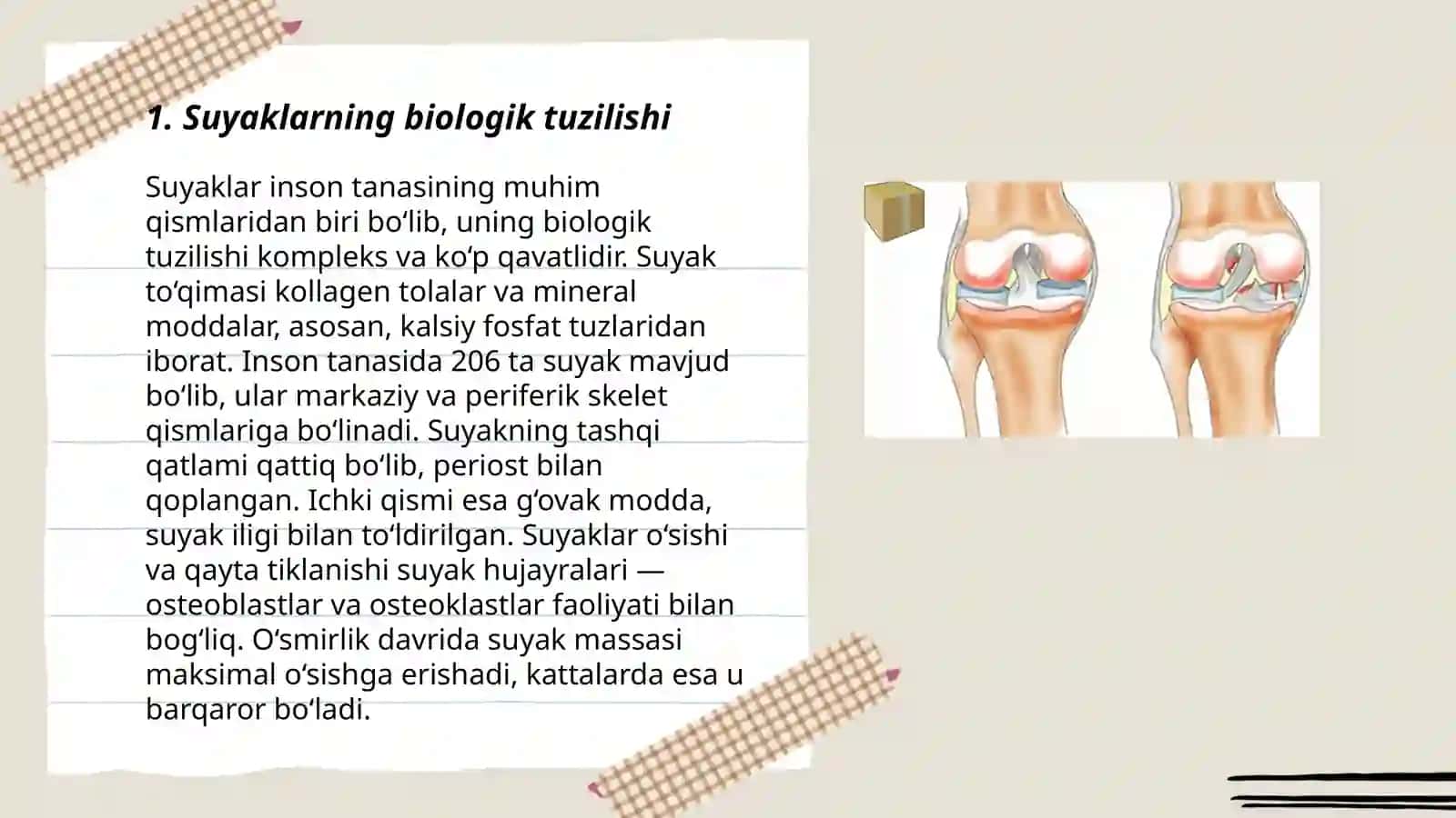 Suyaklarning birlashuvi 3