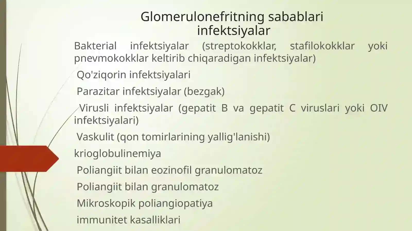 Glomerulonefrit, Endokardit, Yaralikolit va boshqa kasalliklar kechishi da mikroorganizmlarni ahamiyati 3