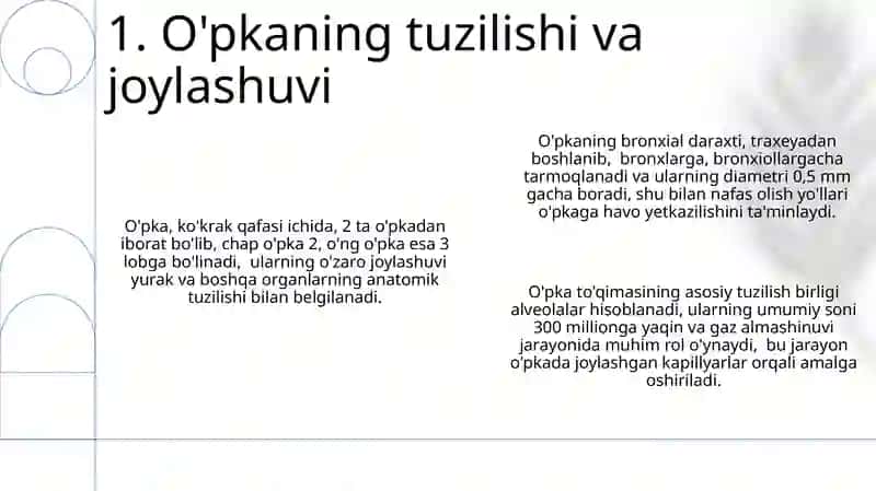 Nafas yóllariga kiruvchi aʼzolarni tuzilishi joylashishi 3