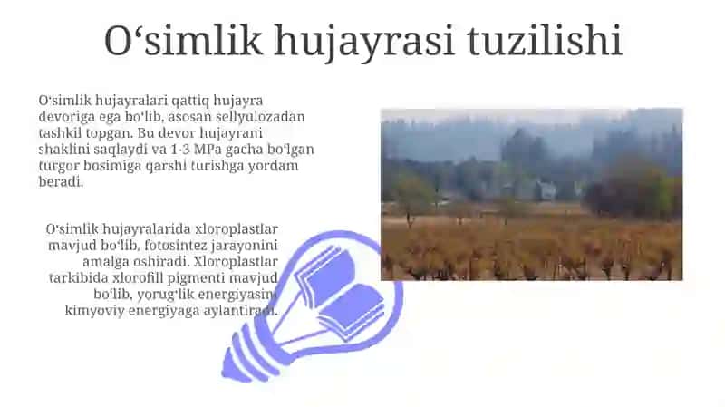 O'simliklar hujayrasi va osmos hodisasi 3