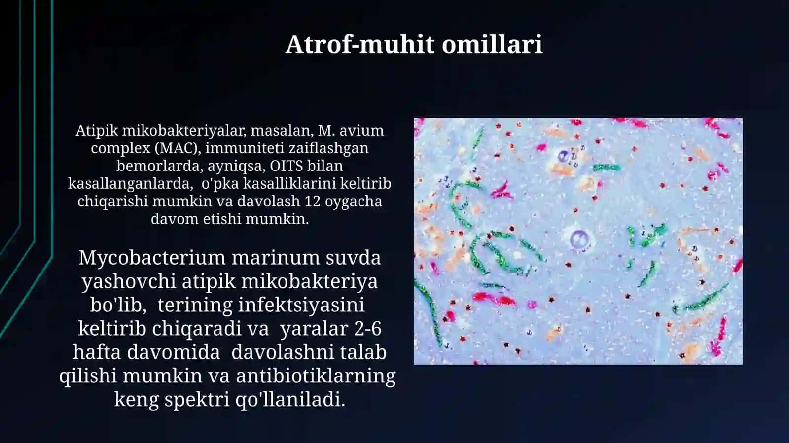 Atipik mikobakteriyalar va ularning amaliyotdagi ahamiyati 3