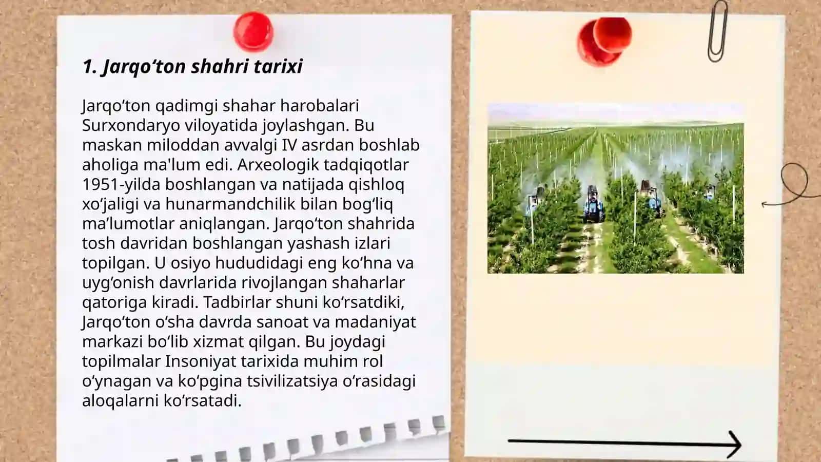 Jarqo‘ton - O'zbekiston hududidagi ilk shahar me'morchiligining o'ziga xos uslublari 3