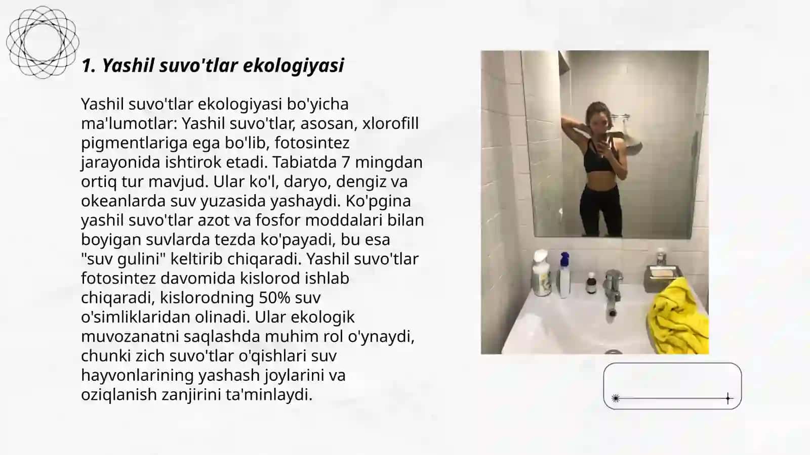 Yashil suvo'tlar bo'limi, teng xivchinlilar va protokokklar tartiblari 3