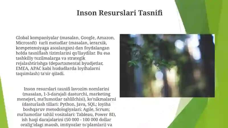 Manbalarni turkumlash 3