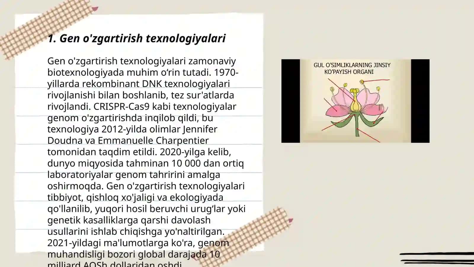 O'simliklarning gwnetik muhandisligi:imkoniyatlar va cheklovchi omillar 3