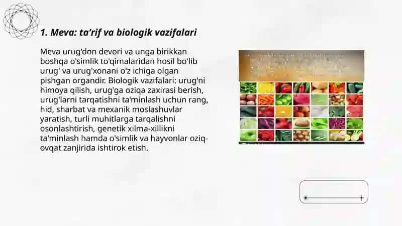 Meva. Mevalarni aniqlash. Meva xillari. Urug'chini tuzilishiga qarab mevalarni tasniflash 3