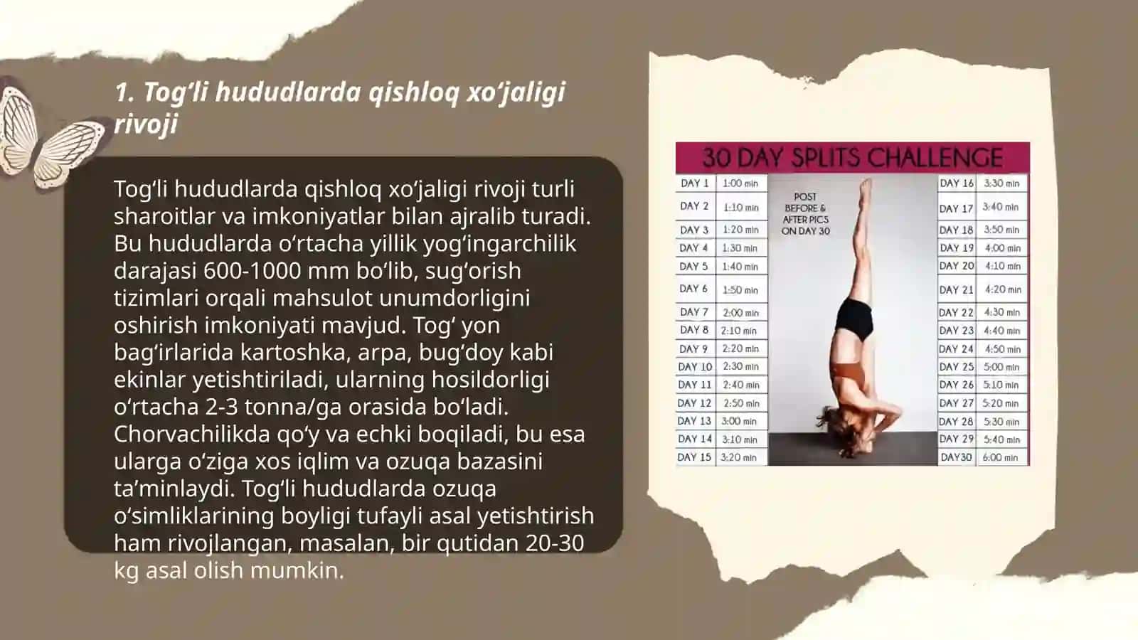 Togʻli hududlarda qishloq xoʻjaligi rivoji 3