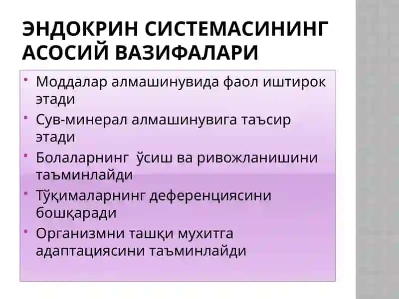 Ички секреция безлари ва уларнинг ёшга хос хусусиятлари 3