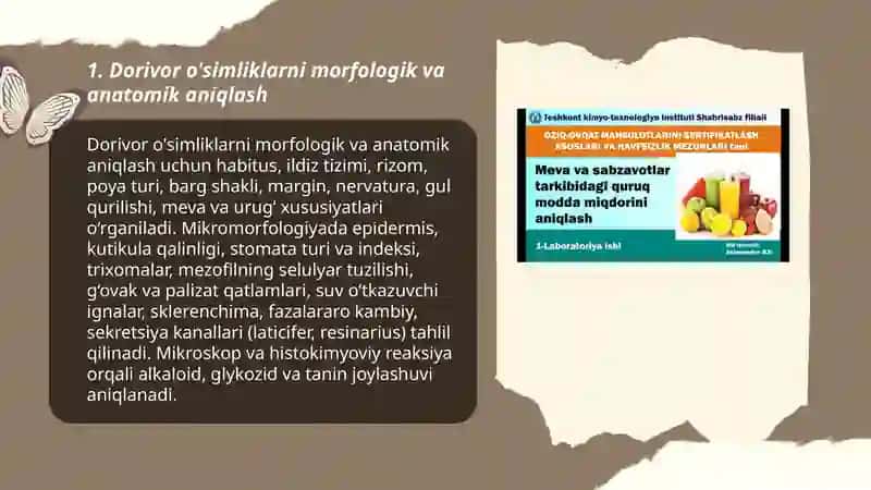 Dorivor O'simliklarni Aniqlash va Tahlil Qilish 3