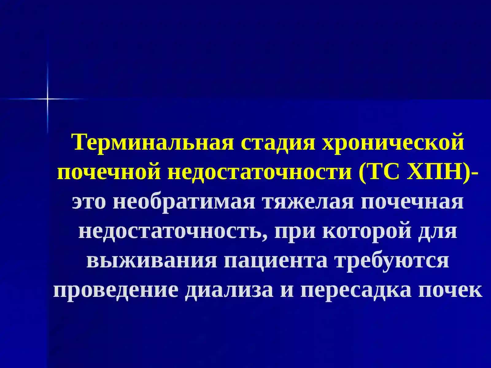 Хроническая почечная недостаточность и заместительная терапия 3