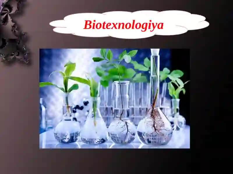 Biotexnologiyaobektlari E coli zamburug’larning umumiy xususiyatlari 3