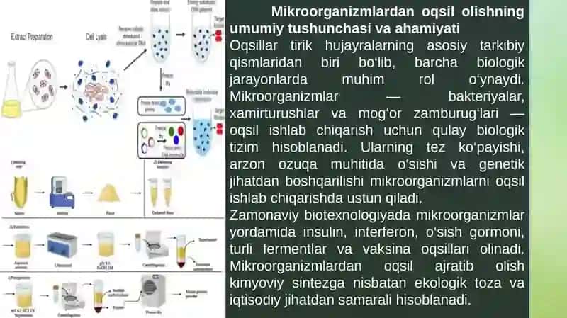 Endofitlardan oqsil ajratib olish 3
