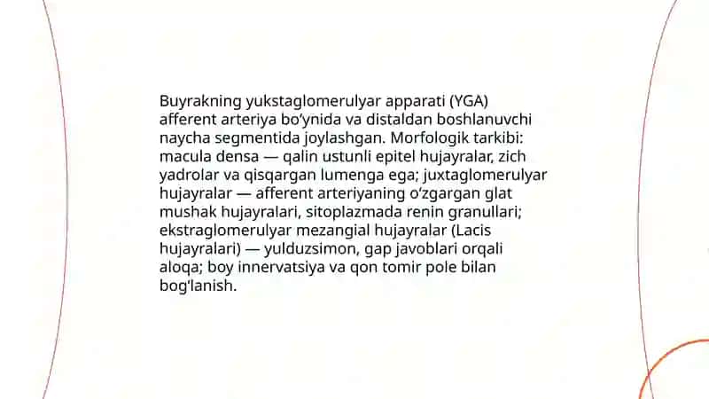 Buyrakning yukstaglomerulyar apparati sitofiziologiyasi 3