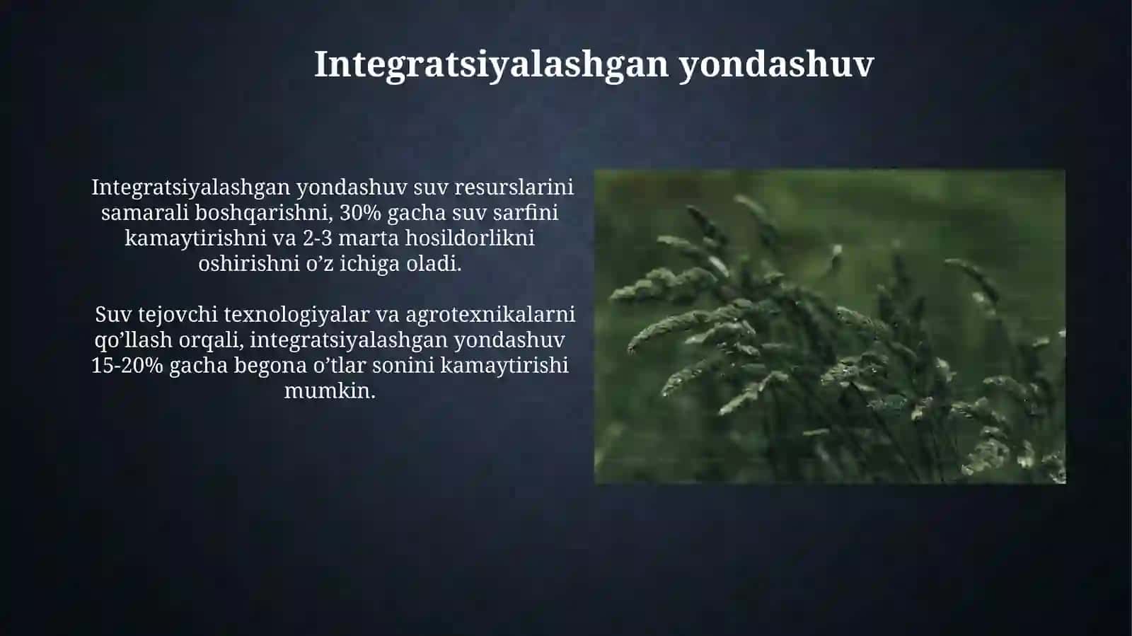Begona o'tlarga qarshi kurash usullari 3