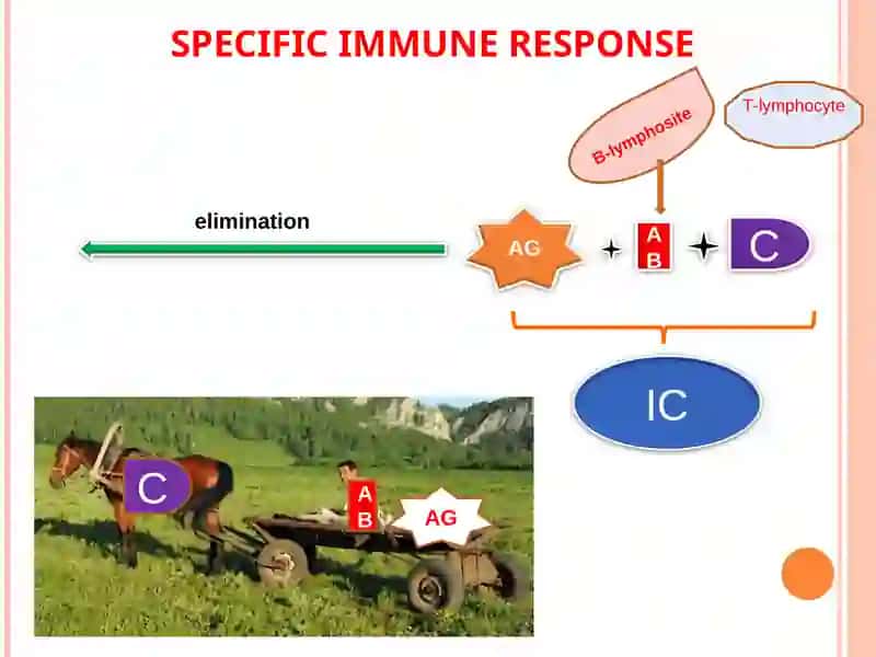 Differential diagnosis of diffuse connective tissue diseases 3