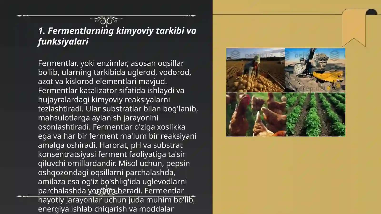 Fermentlardan biotexnologik jarayonlarda foydalanish,sanoat va qishloq xo’jaligida fermentlarning axamiyati 3