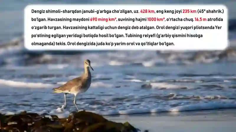 Orol dengizi muammosi 3