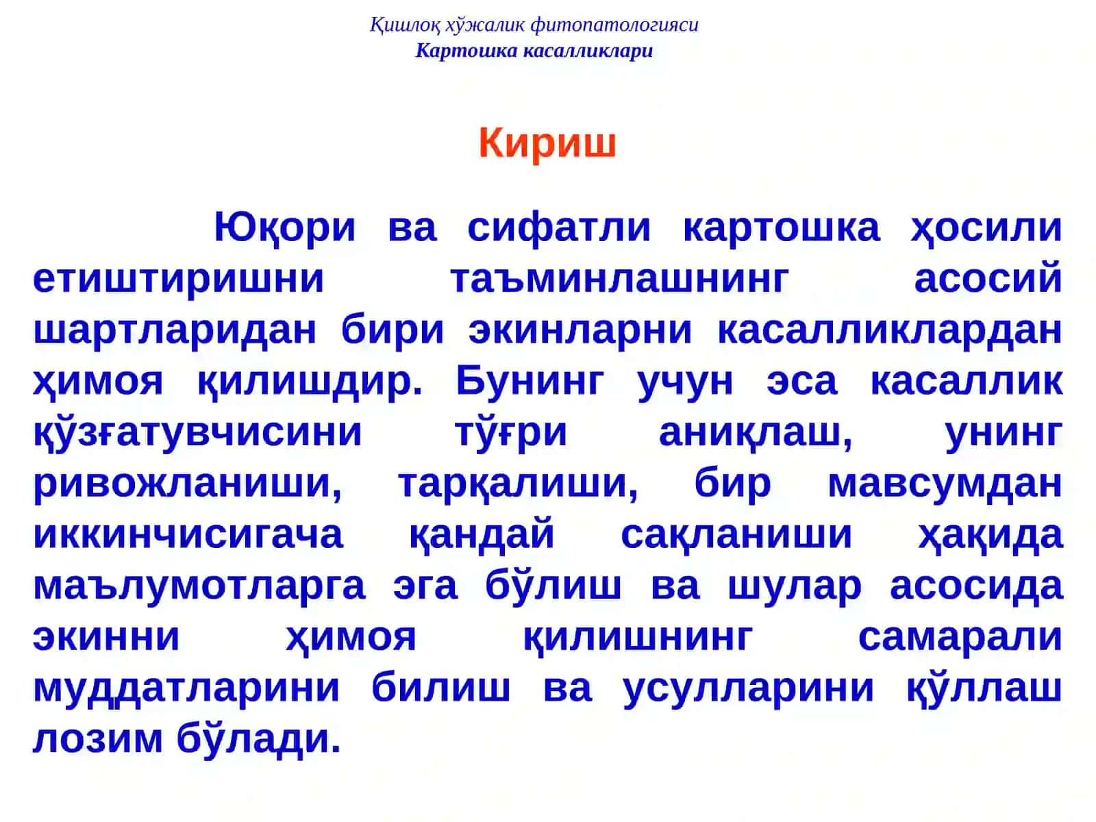 Картошка касалликлари ва уларга қарши кураш чоралари 3
