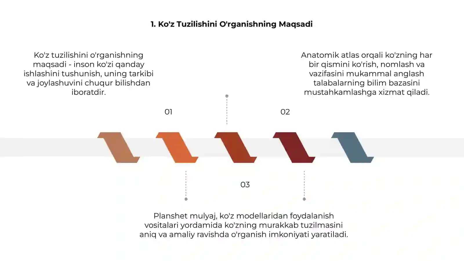 Ko'z Tuzilishini O'rganish 3