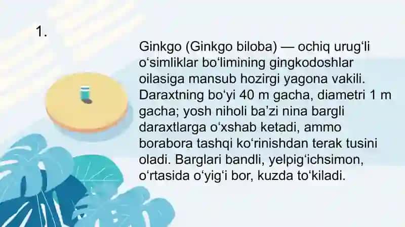 Gingobiloba 3