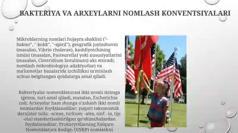 Bakteriya va Arxeylarni Nomlash Konventsiyalari 3