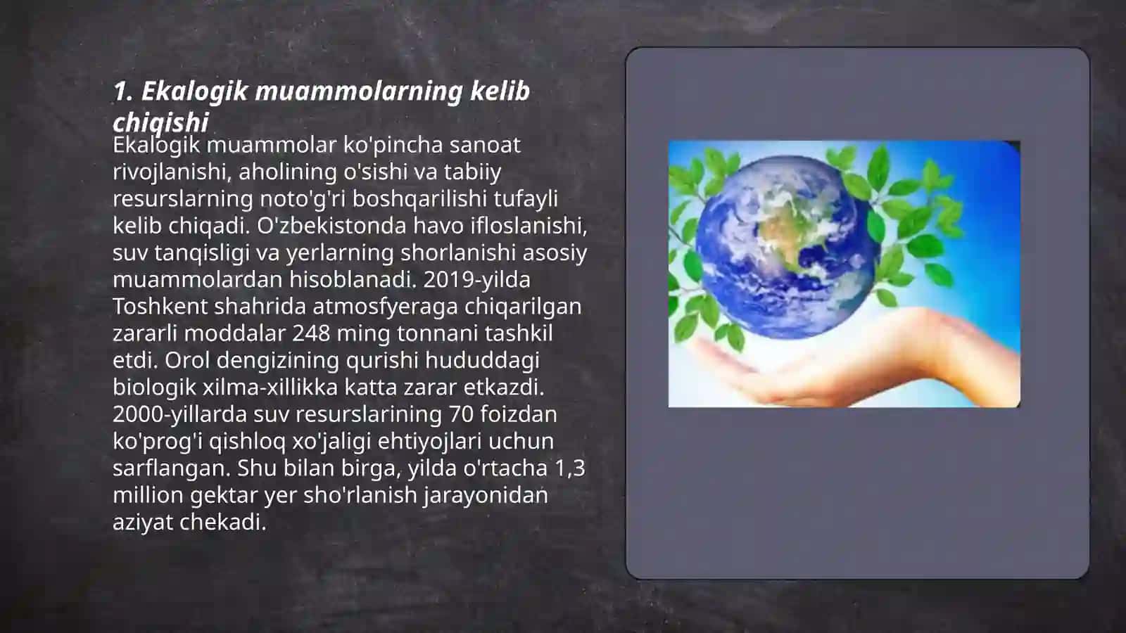 Ekalagik muammolar haqida esse 3