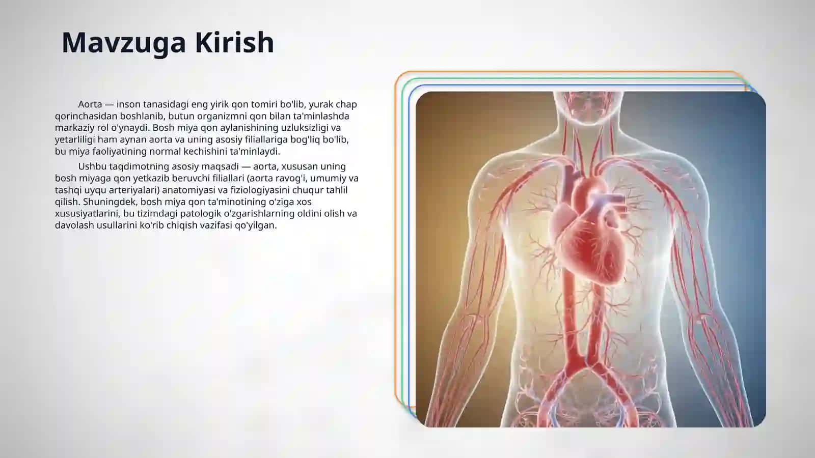 Aorta, aorta ravog'i, umumiy va tashki uyku arteriyasi. Ichki uyku arteriyasi. Bosh miyaning qon bilan ta'minlanishidagi o'ziga xoslik 3