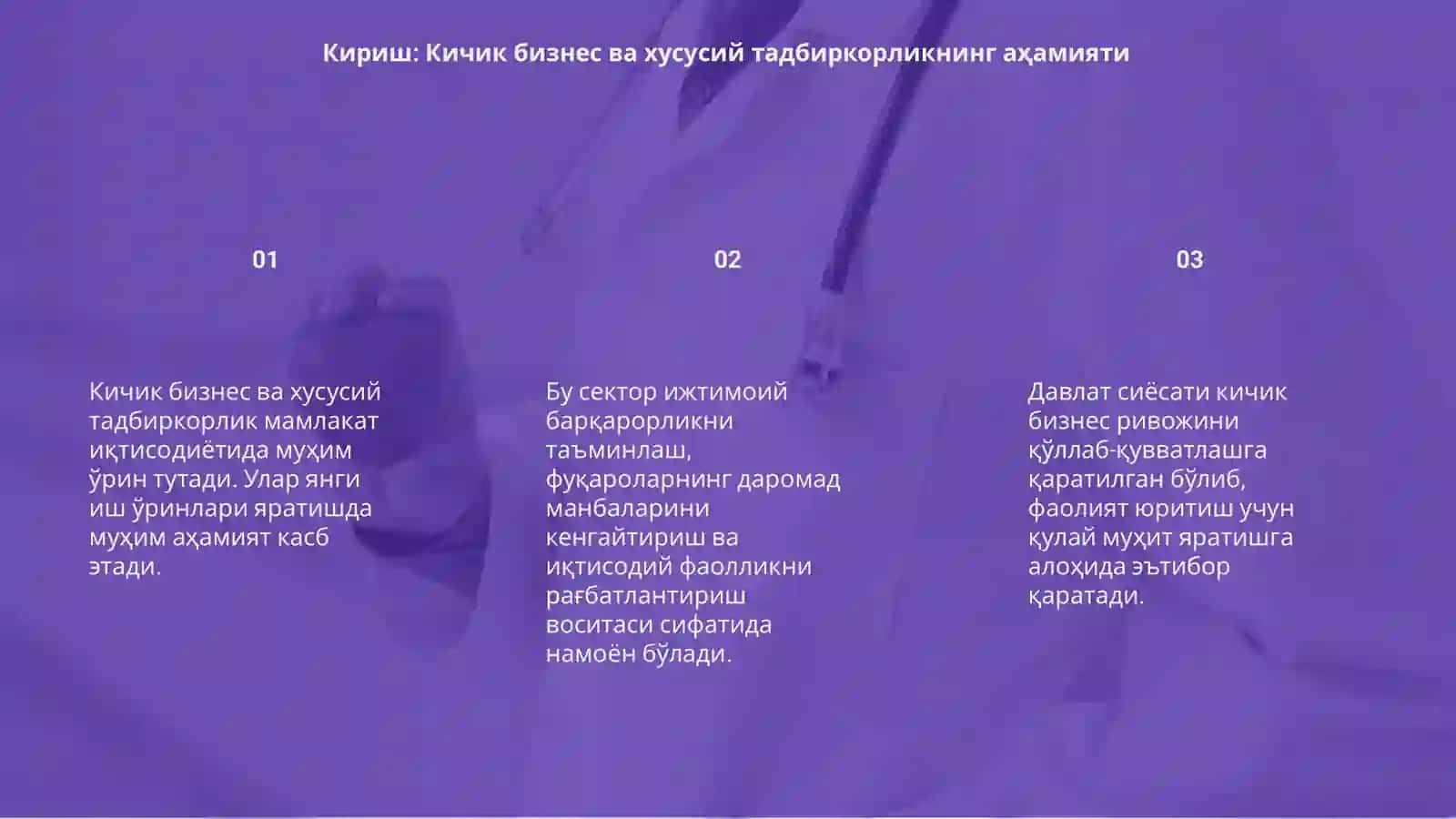 Кичик бизнес ва хусусий тадбиркорликни куллаб кувватлашда давлатнинг сиёсати 3