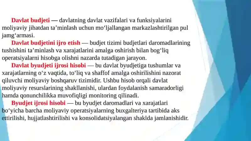 Davlat budjeti ijrosi hisobi 3
