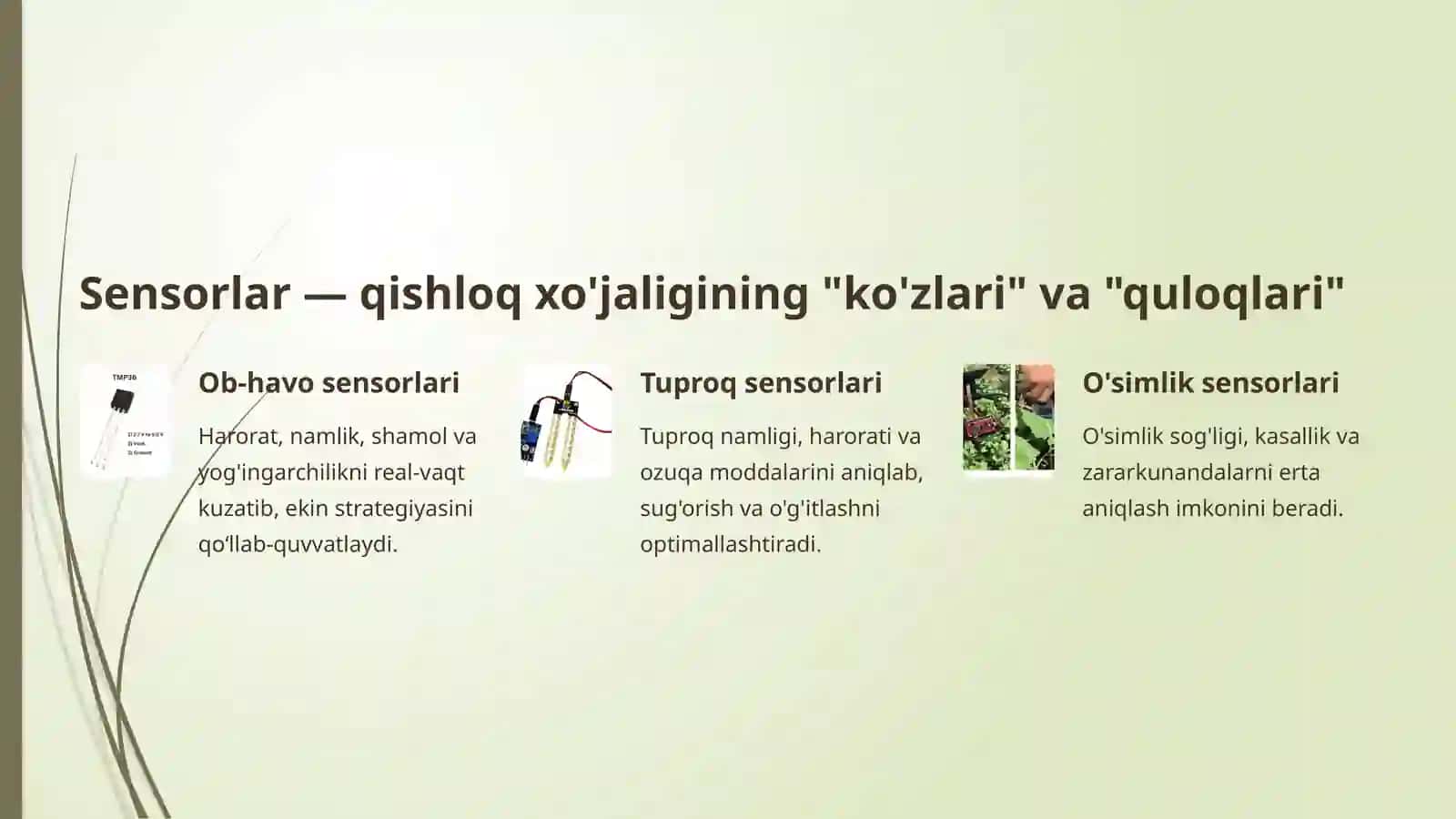 Qishloq xo'jaligini prognozlashda o'rnatilgan tizimlar ahamiyati 3