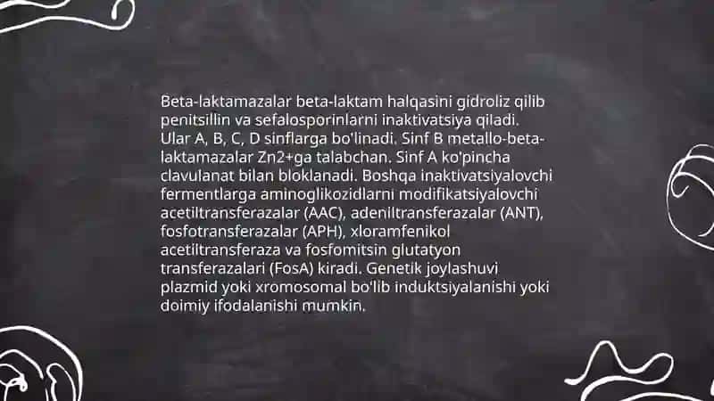 Kimyoterapevtik preparatlar va antibiotiklarga bakteriyalarning chidamli shtammlarining shakllanish mexanizmlari 3
