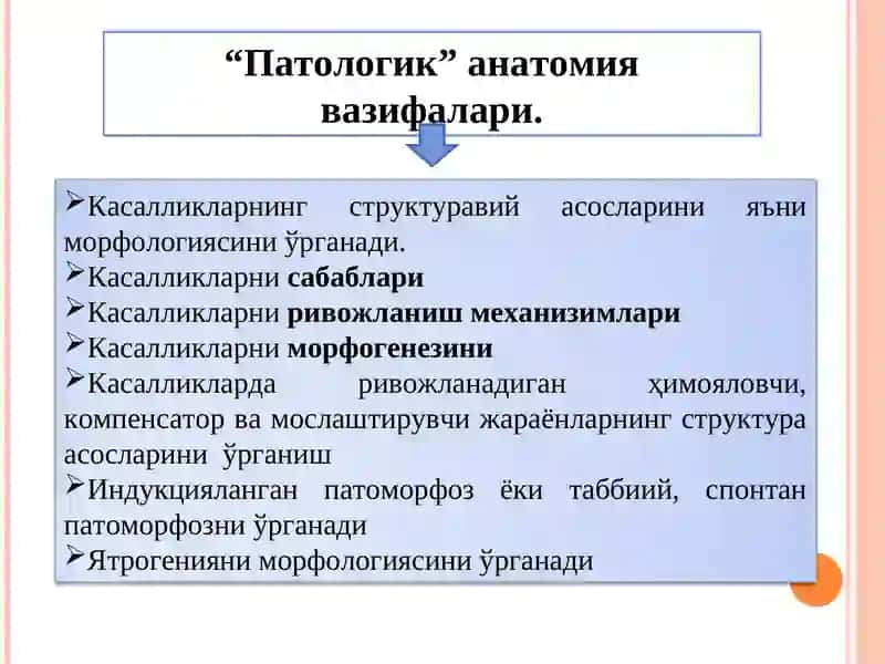 Паталогик анатомия фани, мазмуни мақсади, вазифаси, фан тарихи. Шикасланиш морфологияси. 3