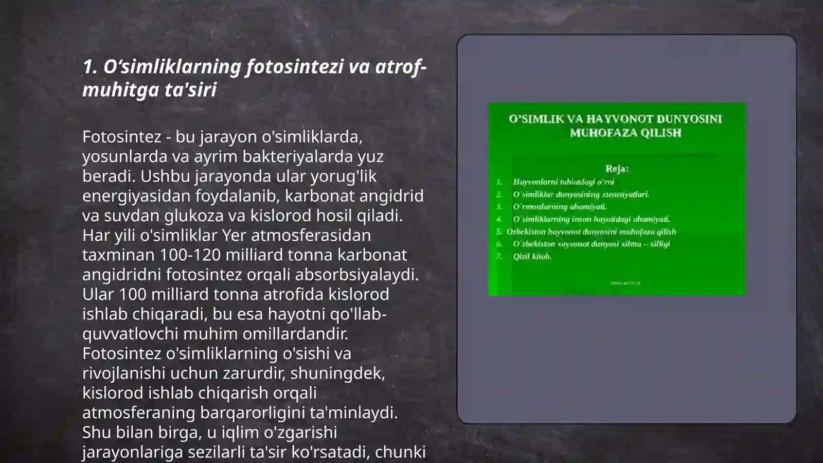 O'simliklarning tabiat va inson hayotidagi o'rni 3