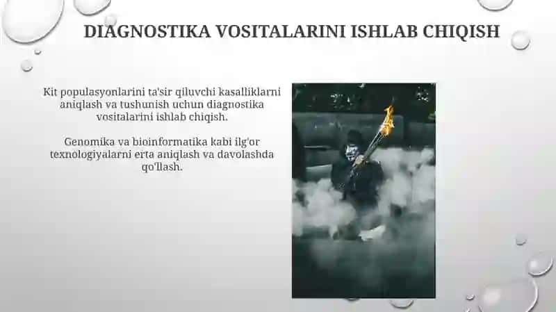 Baliqlarda uchrovchi noma'lum kasalliklar 3