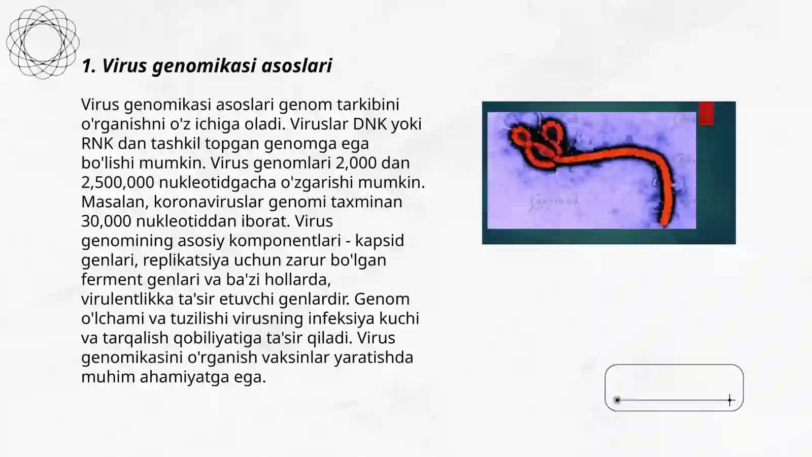 Virus va faglar genomikasi 3