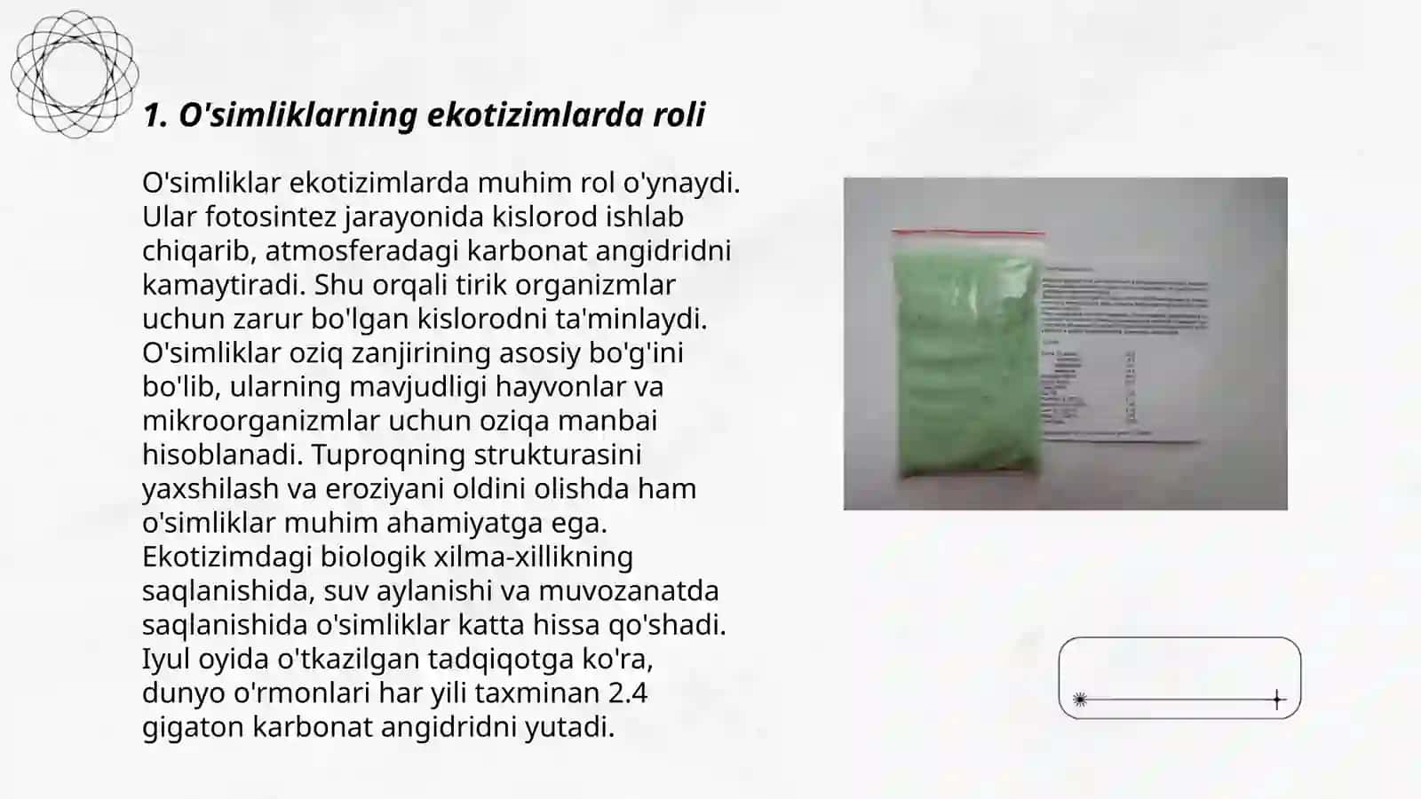 O'simliklarning inson va biosferada tutgan oʻrni va muhofazasi 3
